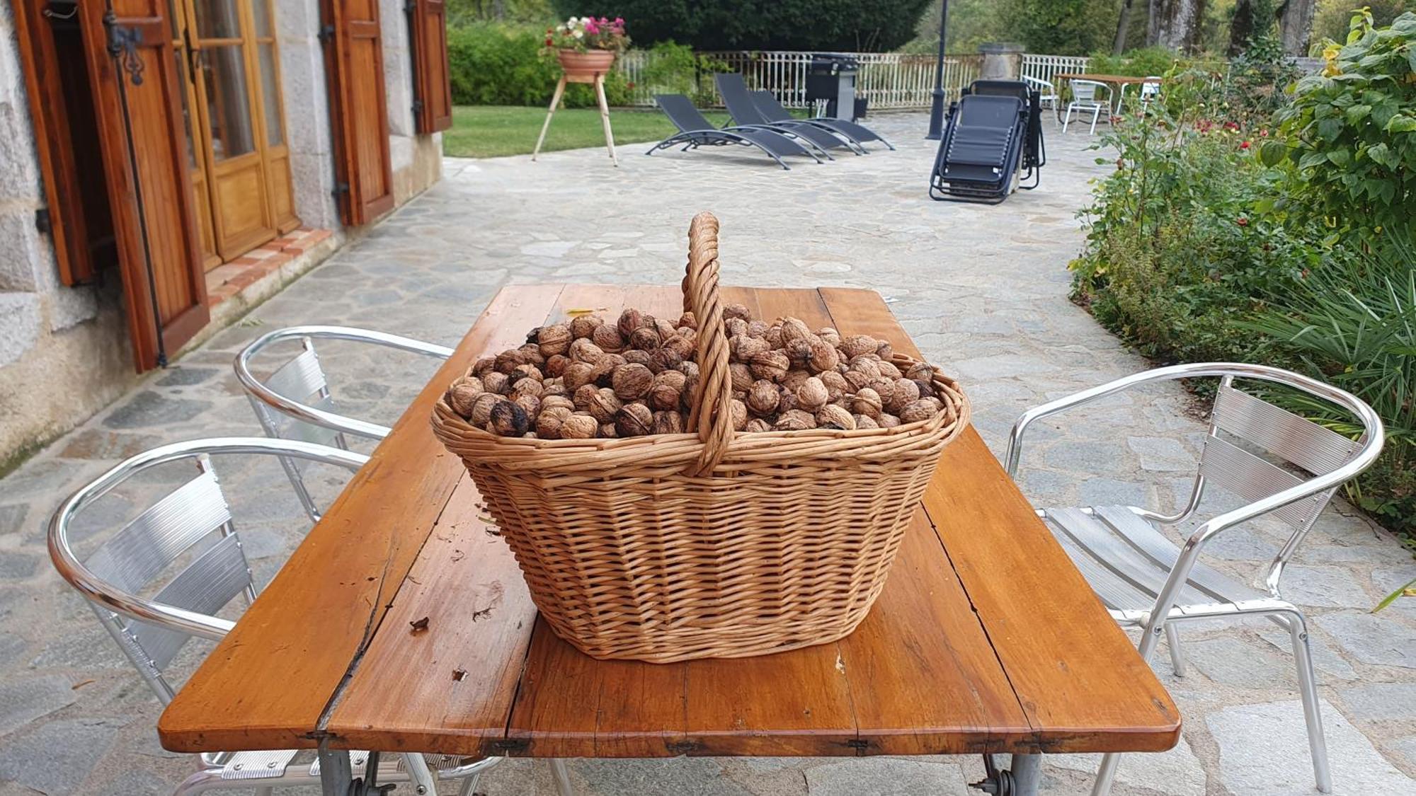Domaine De Montvianeix Bed and Breakfast Saint-Victor-Montvianeix Exteriör bild
