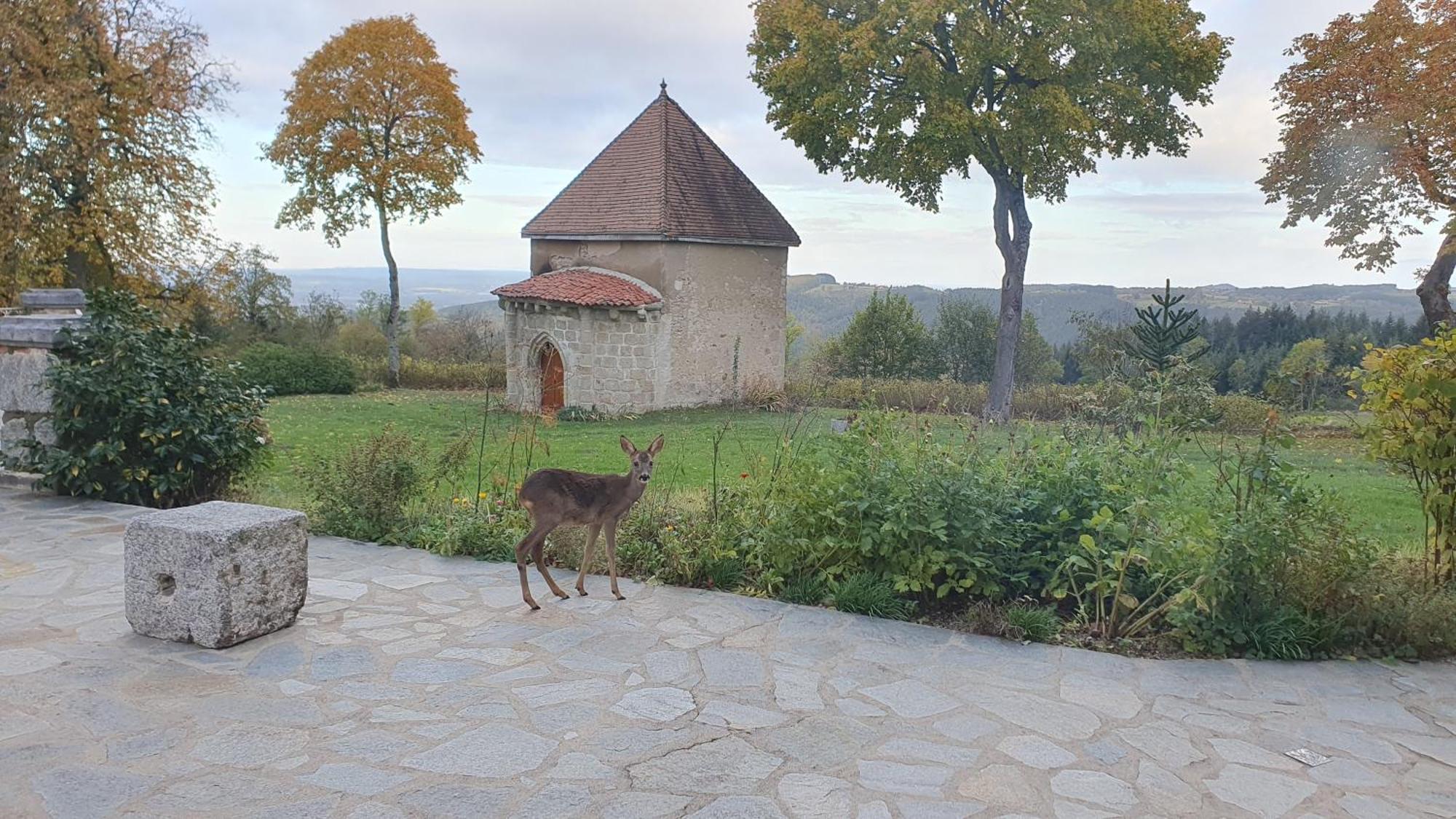 Domaine De Montvianeix Bed and Breakfast Saint-Victor-Montvianeix Exteriör bild
